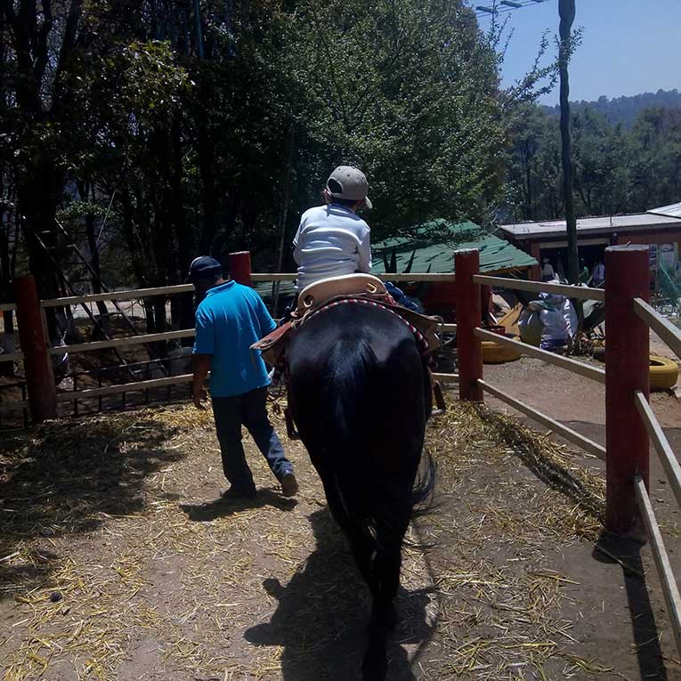 10_vueltas_a_caballo